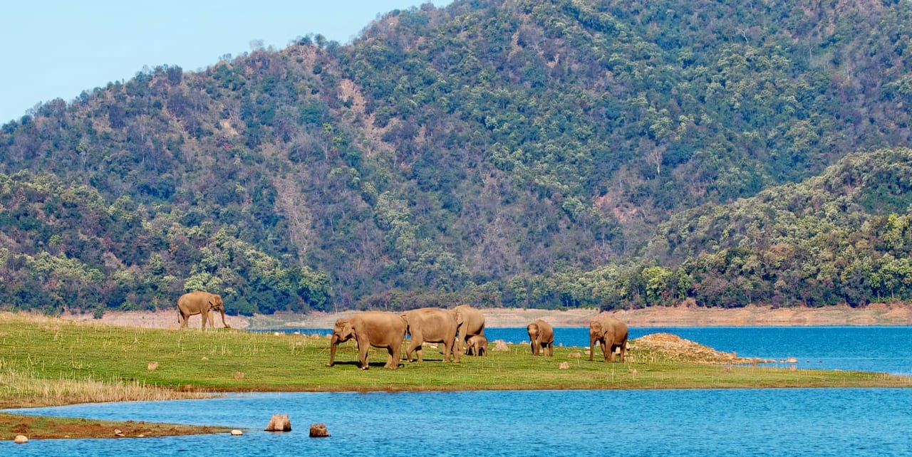 Nainital - Jim Corbett - Mussoorie